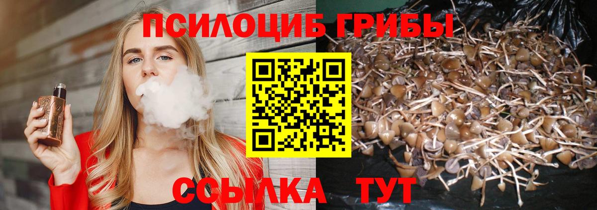 Псилоцибиновые грибы Psilocybe Тихвин