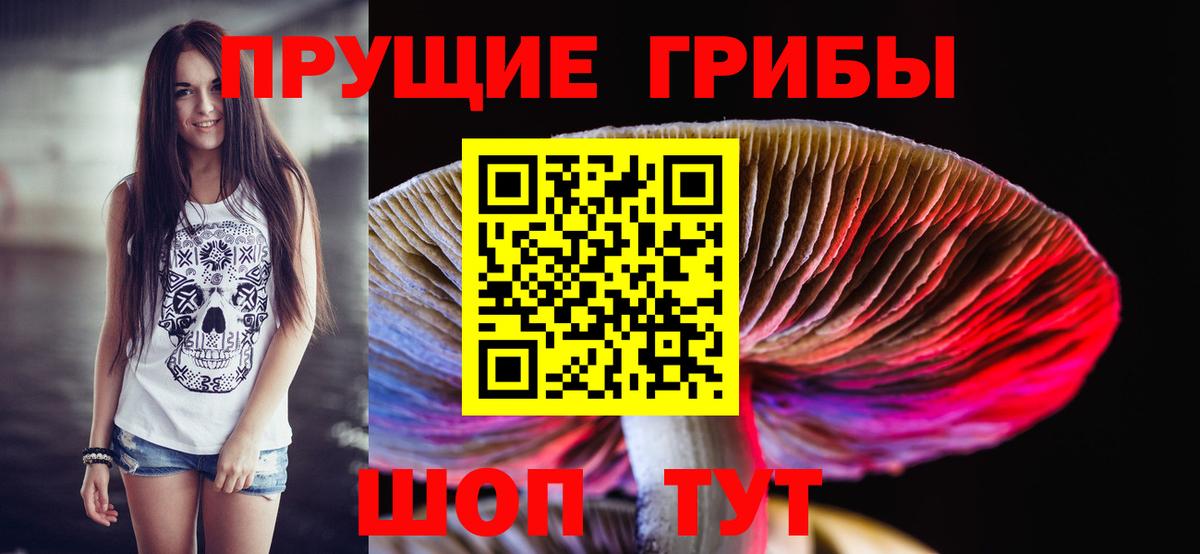 Тихвин  Галлюциногенные грибы MAGIC MUSHROOMS  Псилоцибиновые грибы Psilocybine cubensis  Вход с VPN 